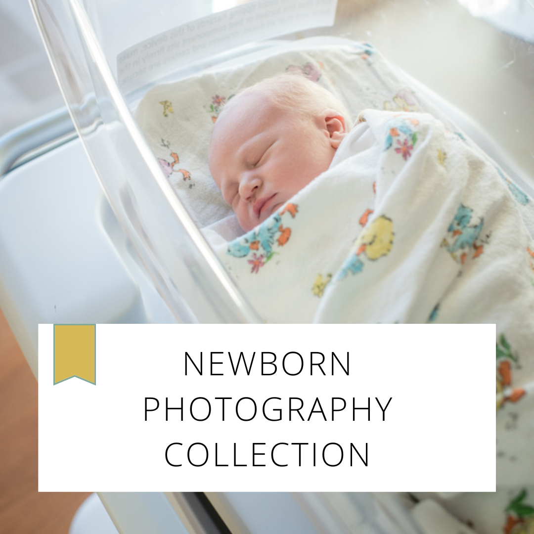 Newborn Portrait Photography Collection