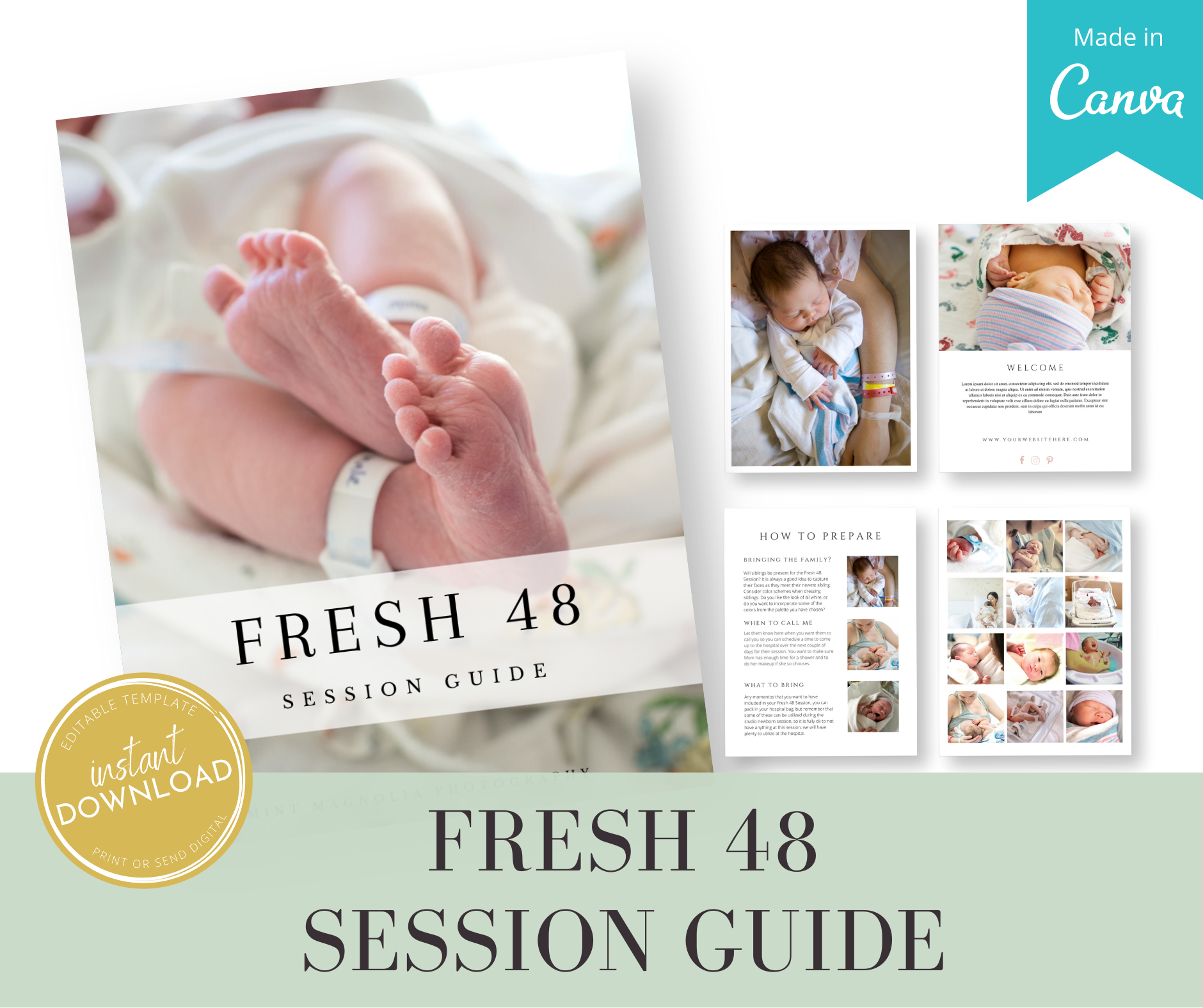 Fresh 48 Newborn Portrait Session Guide